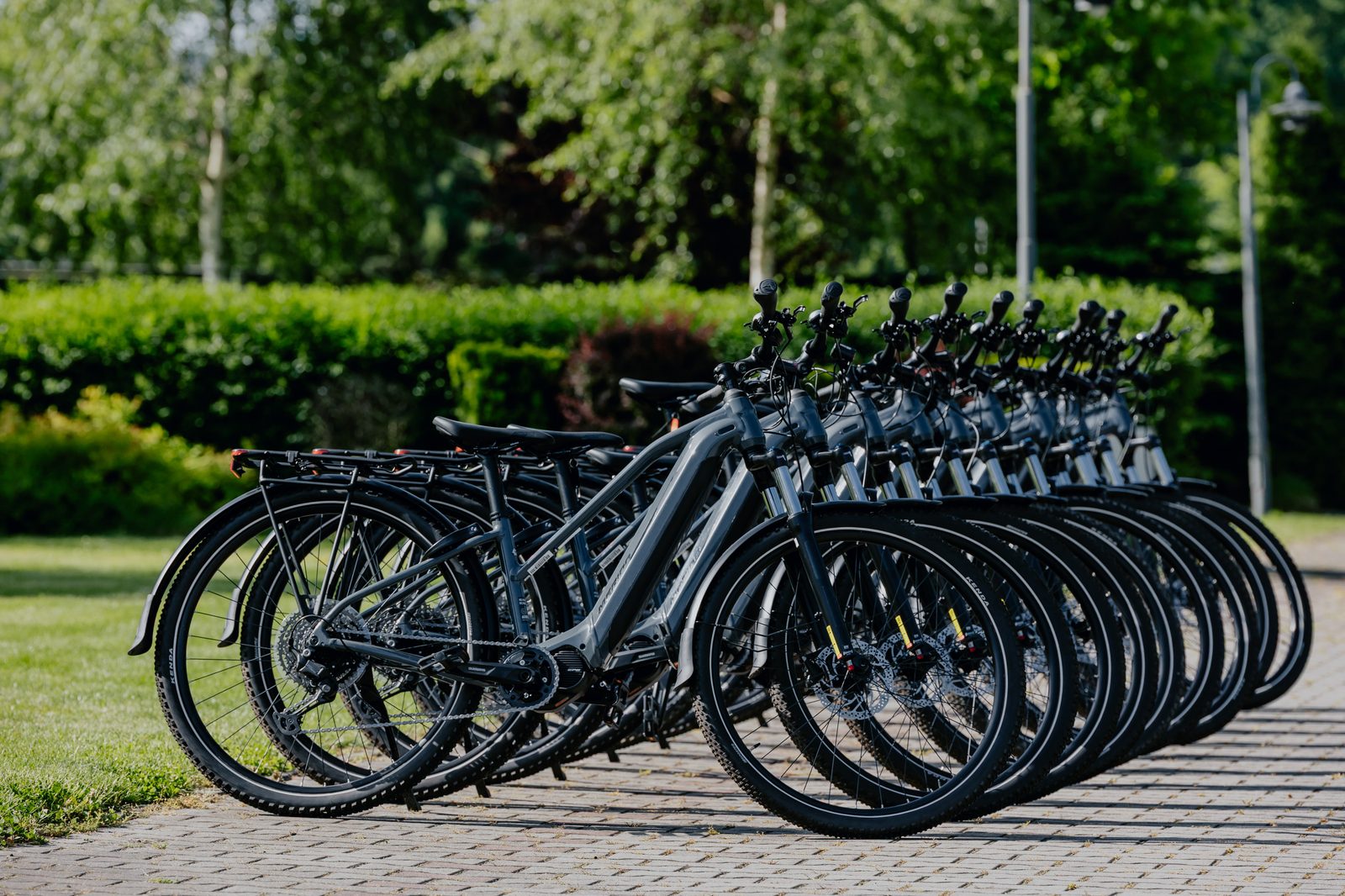 Rowery do wypożyczenia — flota przy campingu